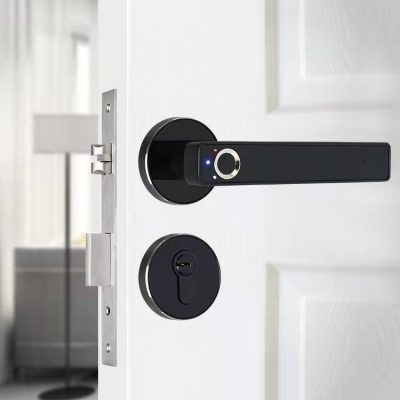 Smart Home Lock Manufacturer